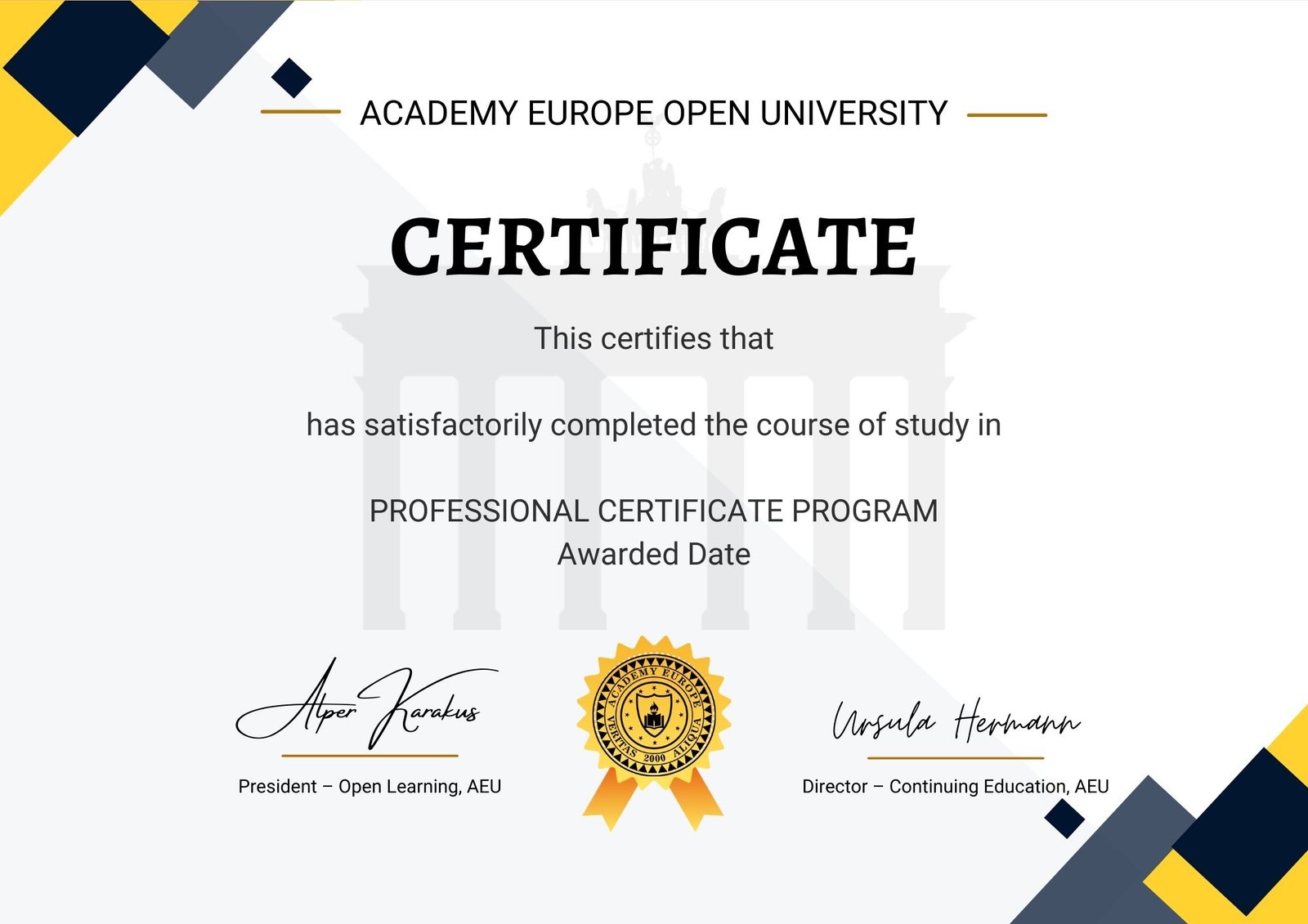 Accounting and Finance - Academy Europe | Free and Open MBA Program and ...